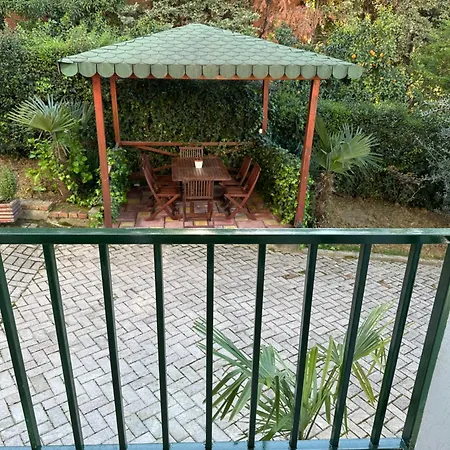 Modern In * Тирана